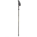 Fold Lock Walking Pole