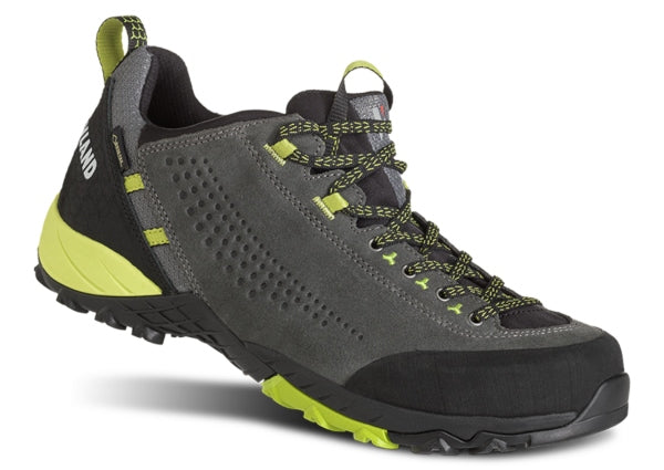 Men's Alpha GTX Shoe