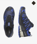 XA Pro 3D V9 GTX Shoes - Blue Print