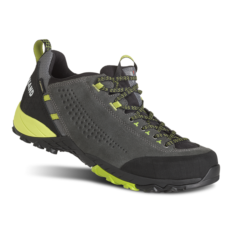 Men's Alpha GTX Shoe