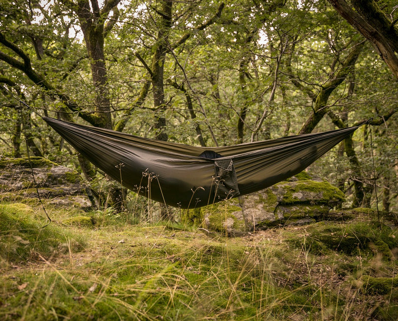 Tropical Hammock